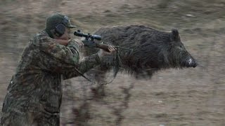 Bulgarian Wild Boar Hunting [upl. by Bertine555]