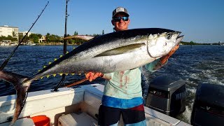 Personal Best Tuna Catch Clean Cook Bahamas Yellowfin Tuna Fishing [upl. by Michaela11]