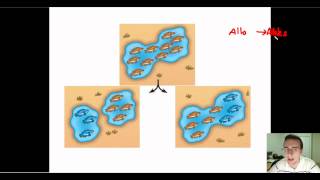 Speciation Part 1 Allopatric vs Sympatric [upl. by Geraint]