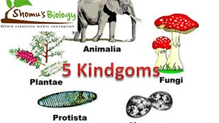 NCERT biology class 11 Five kingdom classification of living organisms CBSE class 11 [upl. by Dekow]