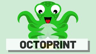 Come installare Octoprint per controllare la stampante 3D da remoto  Raspberry Pi 4 [upl. by Eibbil445]