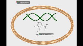 Metronidazole animation video [upl. by Nedrob]