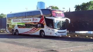 Terminal de ómnibus de Retiro Buenos Aires y alrededores 3012201606012017 [upl. by Radke]