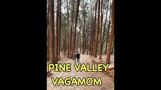 Vagamon Pine valleyshorts [upl. by Idona]