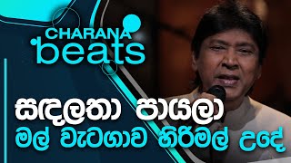 Sanda Latha Payala  සඳලතා පායලා  Keerthi Pasqual [upl. by Nancee]