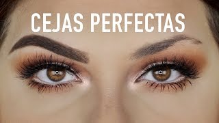 CEJAS PERFECTAS PASO A PASO FACIL [upl. by Athal]