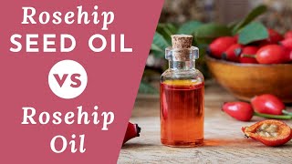 Difference Between Rosehip and Rosehip Seed Oil What You Should Know [upl. by Aneloaup816]