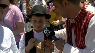 Romería de San Marcos  Tegueste 2019 [upl. by Sheena]