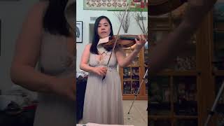 Vivaldi Winter Violin vivaldi winter [upl. by Meingoldas]