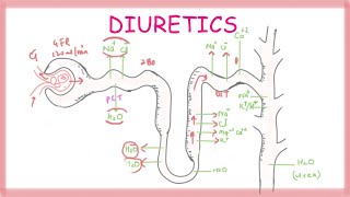 Osmotic Diuretics  Pharmacology [upl. by Jacki]