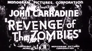 Mad Scientist Horror Movie  Revenge Of The Zombies 1943 [upl. by Sineray668]