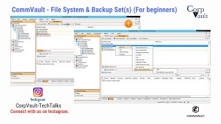 CommVault  File System amp Backup Sets For beginners [upl. by Anaj]