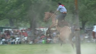 Argentinas gauchos keep cowboy traditions alive [upl. by Tremain]