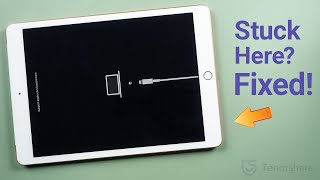 iPad Stuck on Restore Screen 4 Ways to Fix It [upl. by Lenad]