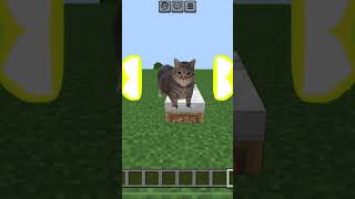 Oiia oiia cat in Minecraft 💀 shorts viral [upl. by Jovitah]