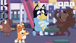 Bluey Bingo and Bandit make friends at the Cafe ☕️ 🍽️  CBeebies [upl. by Sam329]