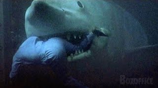 Jaws 3D Full Ending 🌀 4K [upl. by Anawot]