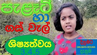 පැලෑටි හා ගස් වැල් හදුනා ගමු grade 5 scholarship exams 345 parisaraya syllabus [upl. by Ynnelg71]