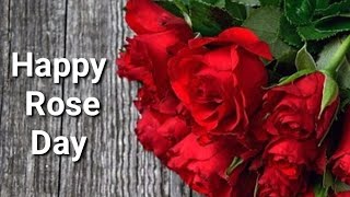 🌹Rose Day🤗Special Shayari 💞Happy Rose Day status Love Shayari Whatsapp Status Valantine Day🥀 [upl. by Montfort271]