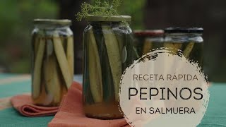 ¡Pepinos en salmuera rápido y delicioso [upl. by Benito]