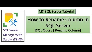 How to Rename Column in SQL Table  MS SQL Server  SQL Rename Column [upl. by Tolmann]