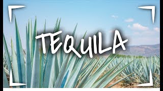 TEQUILA JALISCO 🥃 ► 3 LUGARES que debes VISITAR📍  VLOG SINPOSTAL [upl. by Ogilvy]