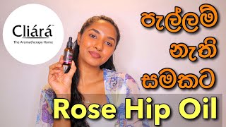 පැහැපත් සමකට Rose hipseed oil  Cliara Essential Oil Rose Hipseed Oil Review In SinhalaFace oils [upl. by Omor]