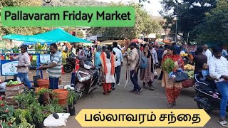 Pallavaram Friday Market  பல்லாவரம் சந்தை [upl. by Marlane]