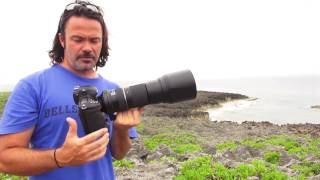 Tamron 150600mm Review for Nikon  A011 [upl. by Ainit843]