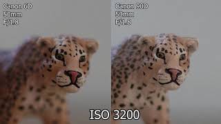 Canon 90D vs Canon 6D [upl. by Levin273]