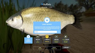 NEW Buffalo Trophy spot  Blue Tag  Russian fishing 4  RF4 [upl. by Santana]