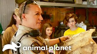 A Family Finds An Alligator Snapping Turtle Shell  Lone Star Law  Animal Planet [upl. by Esiralc]