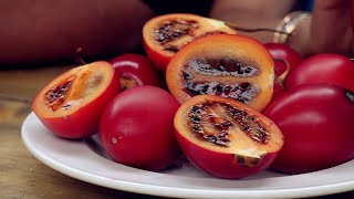 How to make tamarillo juice [upl. by Avonasac649]