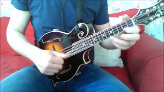 Morrisons Jig Mandolin [upl. by Turtle31]