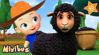 Baa Baa Black Sheep  More Nursery Rhymes amp Kids Songs  Minibus [upl. by Esirehs539]