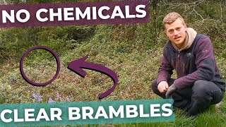 How to clear Brambles [upl. by Eidnac]