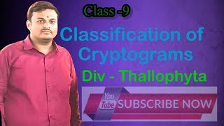 Class9thClassification of plantsDivThallophyta [upl. by Ah]