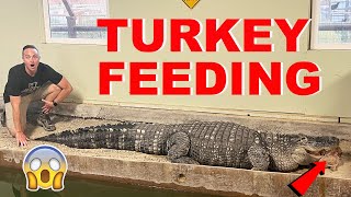 How The Alligators Eat On Thanksgiving [upl. by Anyala]