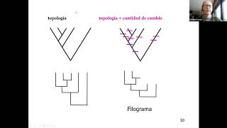 Tema 2a Análisis filogenético por máxima parsimonia [upl. by Neffets803]
