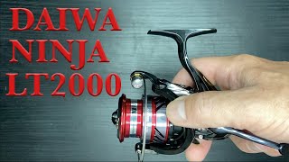 DAIWA NINJA LT2000 REEL REVIEW UNBOXING [upl. by Constantina]