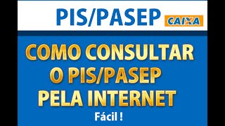 COMO CONSULTAR O PISPASEP 2021 PELA INTERNET  Consulte o valor do Pis pela internet pispasep [upl. by Felizio]