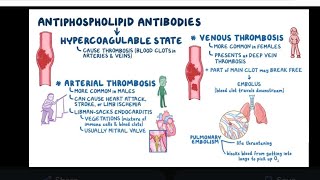 Mystery diagnosis antiphospholipid antibody syndrome [upl. by Ayn710]