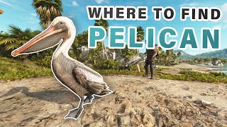 How and WHERE to Feed the Pelicans ► Far Cry 6 [upl. by Johm]