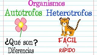 Organismos 🌿AUTÓTROFOS Y HETERÓTROFOS🐝 Fácil y Rápido  BIOLOGÍA [upl. by Akemyt534]