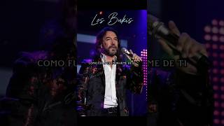 Los Bukis  Como Fui A Enamorarme De Ti [upl. by Burtie726]