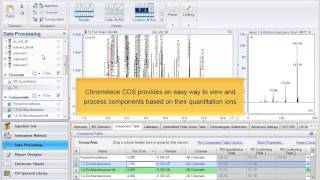 Chromeleon CDS MS Quantitation Channel [upl. by Kendall884]