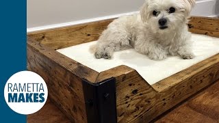 How to Build a Custom Dog Bed  DIY [upl. by Salvador]