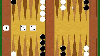 How To Play  Backgammon  The Basics  A Sample Game [upl. by Eiramlatsyrk931]