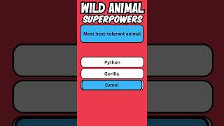 Wild Animal Superpower 23 engquiz quiz english [upl. by Leidgam987]