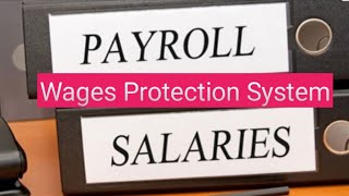 Wages Protection System WPS in UAE  How to Pay salaries   Toqeer Academy [upl. by Ayom]